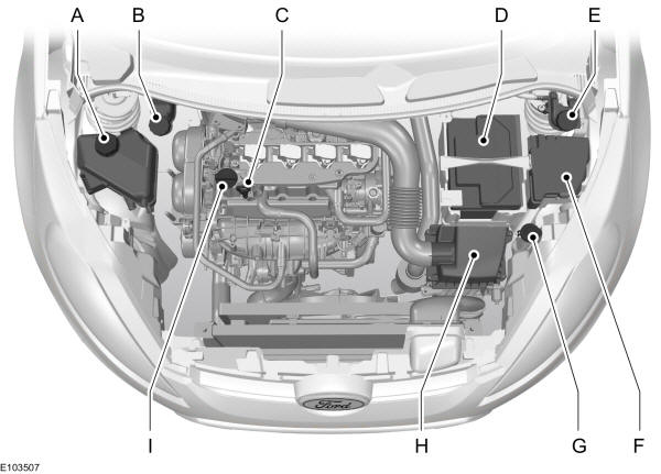 Ford Fiesta Panoramica del vano motore 1.6L Duratec16V