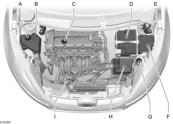Panoramica del vano motore - 1.25L Duratec-16V (Sigma)/1.4L Duratec-16V (Sigma)