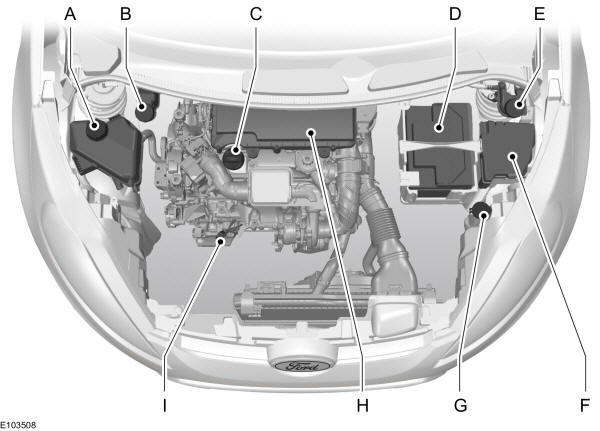 Panoramica del vano motore - 1.4L Duratorq-TDCi (DV) Diesel