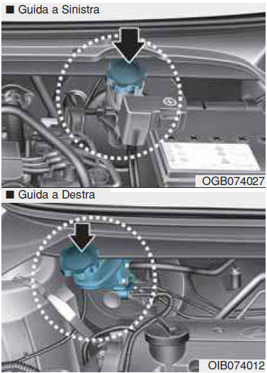 Controllo livello fluido freni/frizione