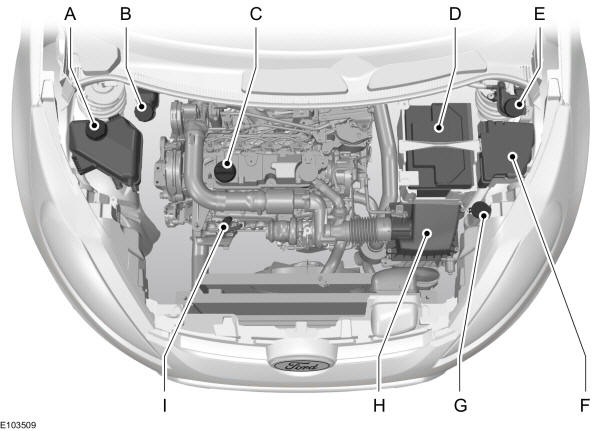Panoramica del vano motore - 1.6L Duratorq-TDCi (DV) Diesel 