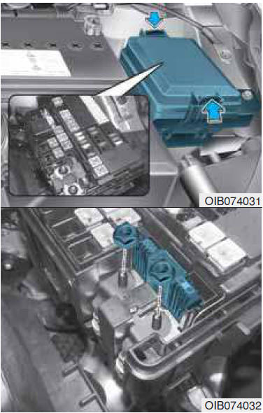 Fusibile principale (fusibile multifunzione)