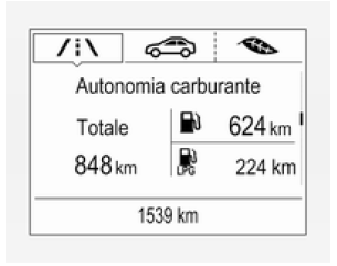Driver Information Center